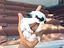 Immagine 3