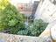 Immagine 20