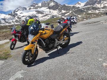 Honda hornet 2008