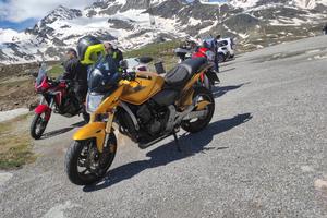 Honda hornet 2008