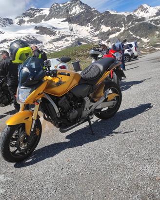 Honda hornet 2008