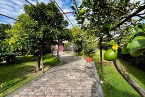 VILLA A SCHIERA A POZZUOLI