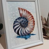 quadro nautilus