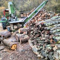 LEGNA SEGATA DA ARDERE