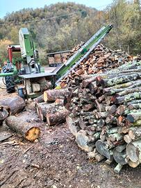 LEGNA SEGATA DA ARDERE