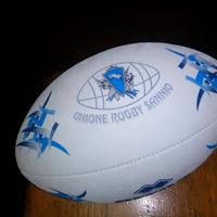 Pallone unione rugby sannio