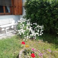 Giugno e luglio a Sabaudia