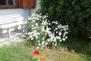 Giugno e luglio a Sabaudia