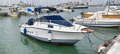 Bayliner 20.20 175 Suzuki Whalkaround 