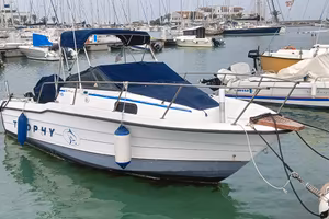 Bayliner 20.20 175 Suzuki Whalkaround 