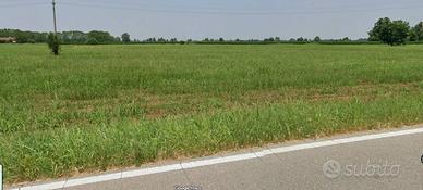 Terreno di 50432 m² a Vailate