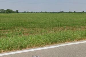 Terreno di 50432 m² a Vailate