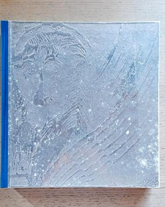 Libro d'arte - Arcipelago del Leone di G.Bruno