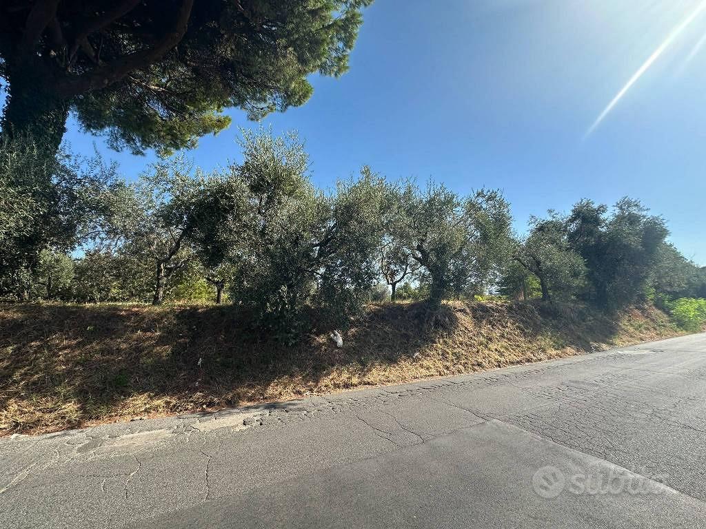 Terreno di 2500 m² a Velletri - Vista 3