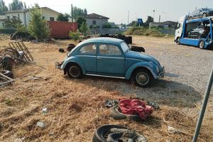 Volkswagen Maggiolino 