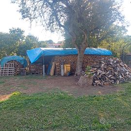 legna da ardere 