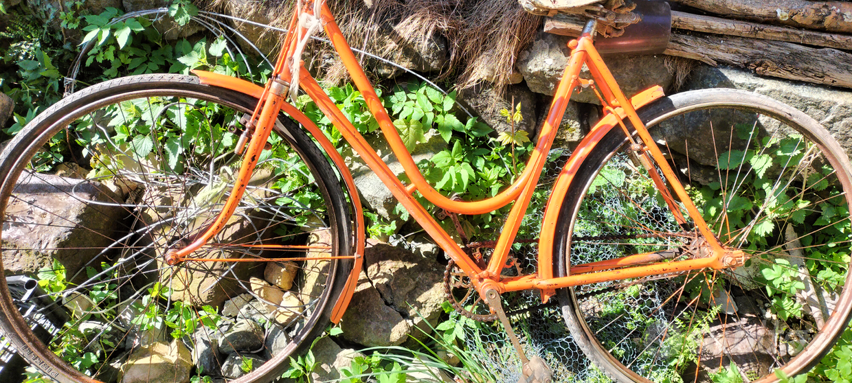 Bici corsa, rullo e accessori - Biciclette In vendita a Parma