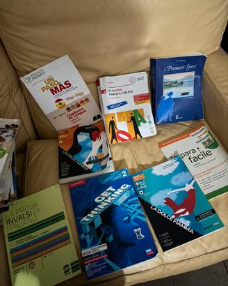 Lotto libri scolastici - media e superi