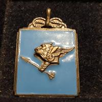 Medaglia Divisione Motorizzata Trento 102^ REI