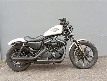 HARLEY-DAVIDSON 883 Iron XLN