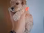 Immagine 3