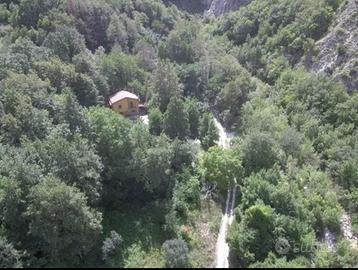 Casa e terreno con bosco immersa nella natura