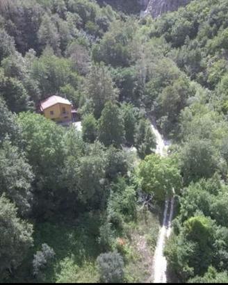 Casa e terreno con bosco immersa nella natura