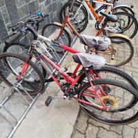 Coppia mountain bike 