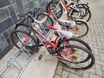 Coppia mountain bike 