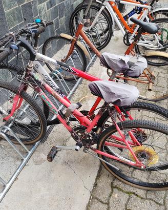 Coppia mountain bike 