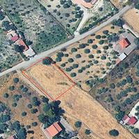 Terreni Agricoli - Contrada Gaddira, San Cataldo