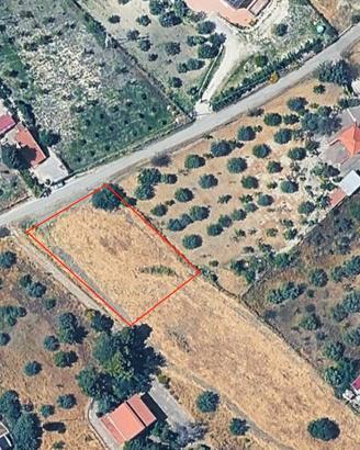 Terreni Agricoli - Contrada Gaddira, San Cataldo