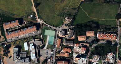 TER. AGRICOLO A ROMA