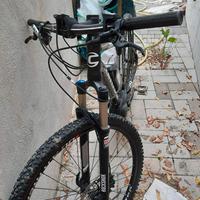 Bicicletta elettrica