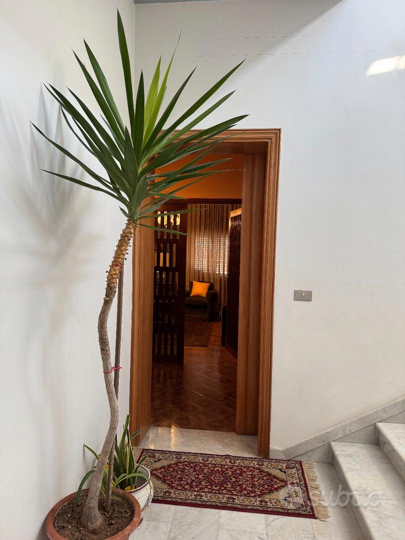 Appartamento – Avola, Siracusa - Altro