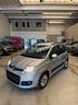 fiat-panda-lounge