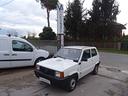 fiat-panda-1100-i-e-cat-young