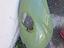Immagine 29
