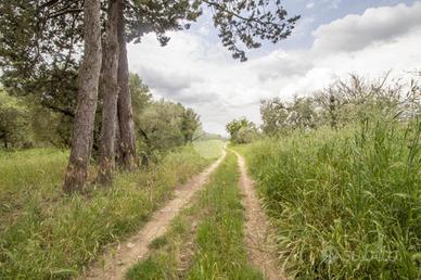 TER. AGRICOLO A MORICONE