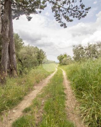 TER. AGRICOLO A MORICONE
