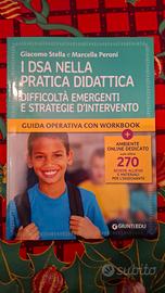 i DSA nella pratica didattica