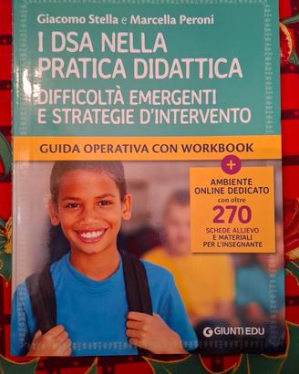 i DSA nella pratica didattica