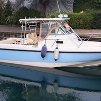 Boston Whaler 290 Outrage motori 2010