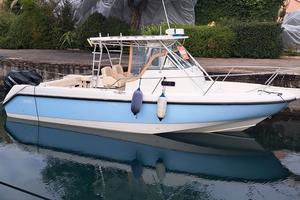 Boston Whaler 290 Outrage motori 2010