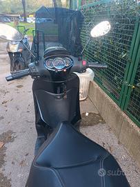 beverly 300