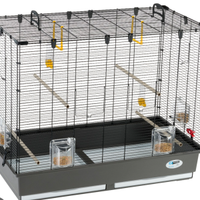 Voliera uccelli e animali