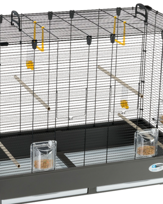 Voliera uccelli e animali