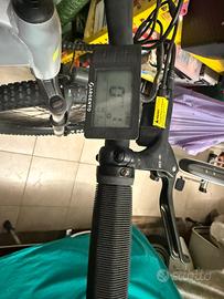 Bicicletta elettrica Argento