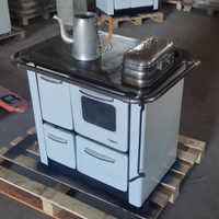 Stufa a Legna Cucina