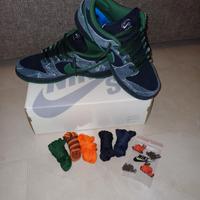 nike SB dunk low pro there skateboards